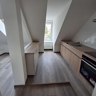 Pronájem bytu 2+1 51 m² Teplice, U Císařských lázní