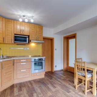 Pronájem bytu 1+1 41 m² Praha