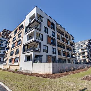 Pronájem bytu 1+kk a garsoniéry 38 m² Praha Hloubětín, Domalípova