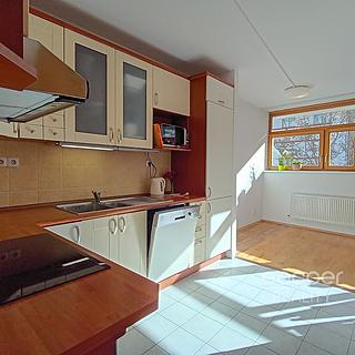Pronájem bytu 4+kk 107 m² Praha