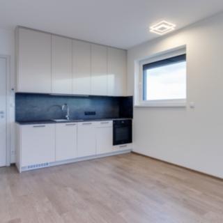 Pronájem bytu 1+kk a garsoniéry 32 m² Praha Chodov, Šternovská