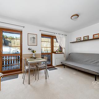 Prodej bytu 1+kk a garsoniéry 44 m² Žacléř Prkenný Důl