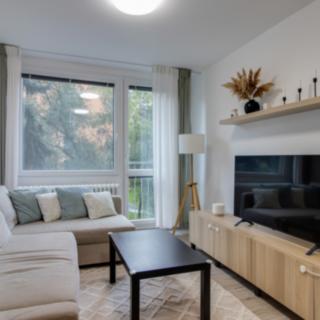 Pronájem bytu 2+kk 43 m² Praha
