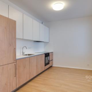 Pronájem bytu 1+1 51 m² Praha Karlín, Křižíkova