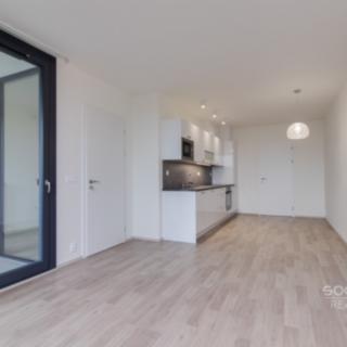 Pronájem bytu 2+kk 56 m² Praha Libeň, Střížkovská