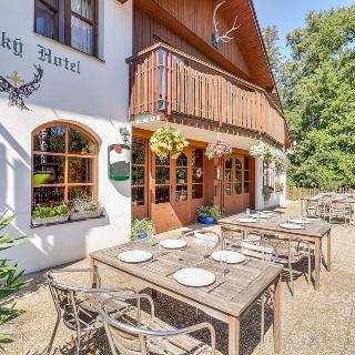 Prodej hotelu a penzionu 1 150 m² Loučeň Patřín, Jivák