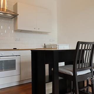 Pronájem bytu 2+kk 42 m² Praha Holešovice, V závětří