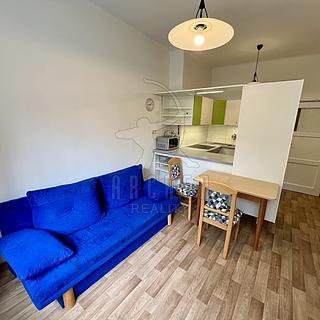 Pronájem bytu 2+kk 35 m² Praha Žižkov, Rečkova