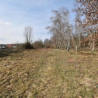Prodej stavební parcely 6 184 m² Dubí Drahůnky