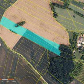 Prodej zemědělské půdy 62250 m² Ludmírov