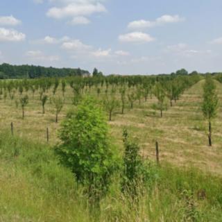 Prodej zemědělské půdy 43067 m² Nošovice