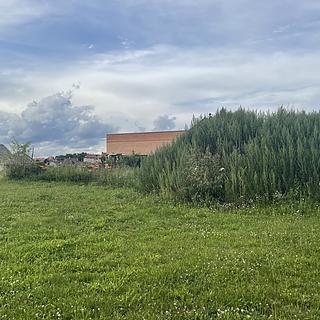 Prodej ostatního pozemku 12 m² Krásněves