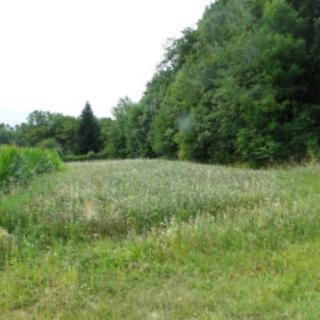 Prodej zemědělské půdy 2 999 m² Ruprechtov