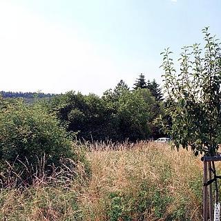 Dražba stavební parcely 1 788 m² Kostelec nad Černými lesy, Zahradní