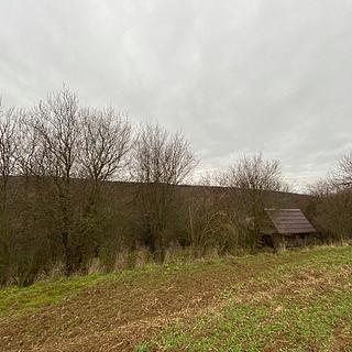 Dražba lesa 11 619 m² Šarovy