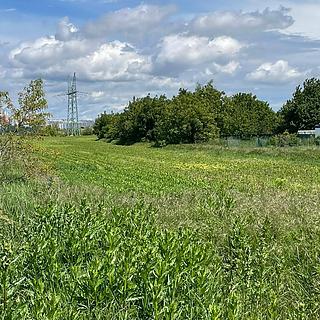 Dražba ostatních pozemků 3211 m² Troubsko