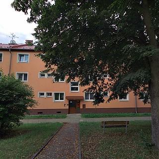 Prodej bytu 3+1 60 m² Ostrov