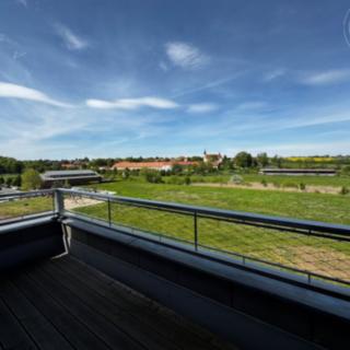 Pronájem bytu 1+1 51 m² Tachlovice, Sportovní