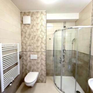 Pronájem bytu 1+kk a garsoniéry 28 m² Tachlovice, Sportovní