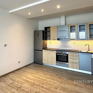 Pronájem bytu 1+kk, garsoniery 51 m² Tachlovice