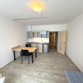 Pronájem bytu 1+kk, garsoniery 25 m² Tachlovice