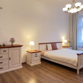 Pronájem bytu 1+1 46 m² Praha