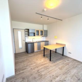 Pronájem bytu 1+kk, garsoniery 25 m² Tachlovice