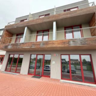 Pronájem bytu 1+kk a garsoniéry 28 m² Tachlovice, Sportovní