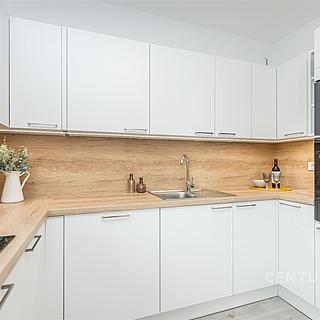 Prodej chalupy 240 m² Týnec nad Labem, Tyršova