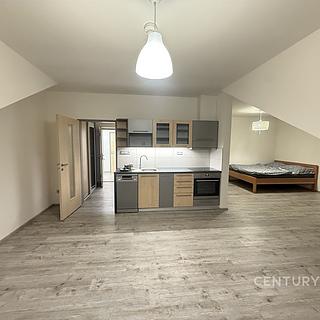 Pronájem bytu 1+kk, garsoniery 48 m² Tachlovice