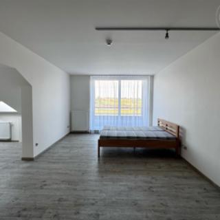 Pronájem bytu 1+kk a garsoniéry 51 m² Tachlovice, Sportovní