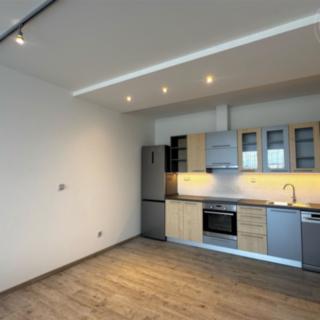 Pronájem bytu 1+kk a garsoniéry 51 m² Tachlovice, Sportovní
