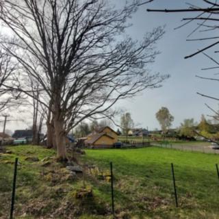 Prodej stavební parcely 2394 m² Černava