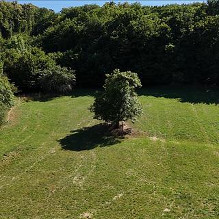 Prodej stavební parcely 4217 m&sup2; Habrovany