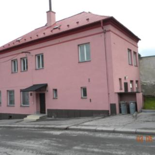 Prodej Ostatních komerčních prostor 313 m² Ryžoviště
