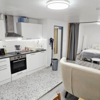 Prodej bytu 1+kk a garsoniéry 133 m² Kralupy nad Vltavou, Přemyslova