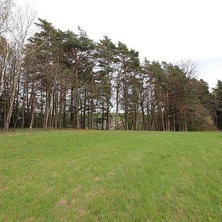 Prodej louky 3 158 m² Valašské Meziříčí Podlesí