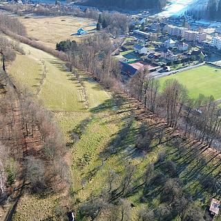 Prodej lesa 132 m² Karolinka