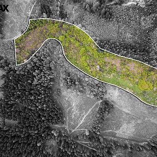 Prodej chalupy 158 m² Liptál