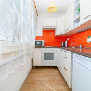 Prodej bytu 1+kk a garsoniéry 26 m² Hradec Králové Slezské Předměstí, Severní