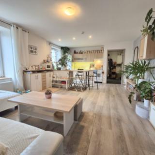 Prodej bytu 2+kk 48 m² Nový Jičín, Dolní brána