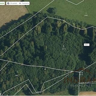 Prodej lesa 13 092 m² Nový Jičín Žilina