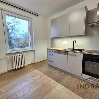 Pronájem bytu 2+1 50 m² Nový Jičín Loučka, Za Korunou