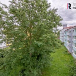 Prodej bytu 1+kk a garsoniéry 28 m² Jihlava Horní Kosov, Jarní