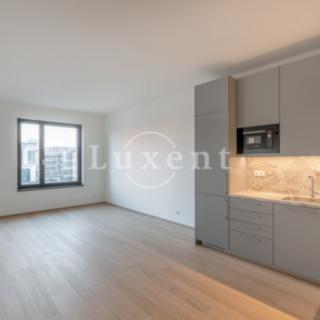 Pronájem bytu 2+kk 63 m² Praha Holešovice, Jankovcova