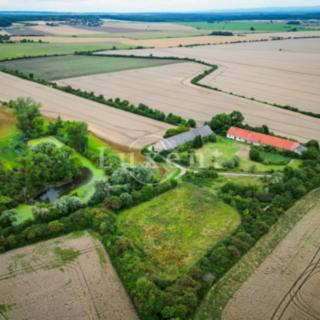 Prodej zemědělské usedlosti 600 m² Běrunice Vlkov nad Lesy