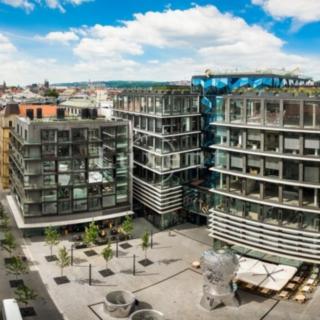 Pronájem kanceláře 920 m² Praha Nové Město, Spálená
