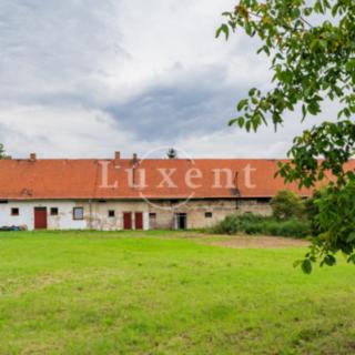 Prodej zemědělské usedlosti 600 m² Běrunice Vlkov nad Lesy