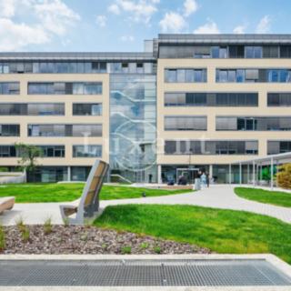 Pronájem kanceláře 516 m² Praha
