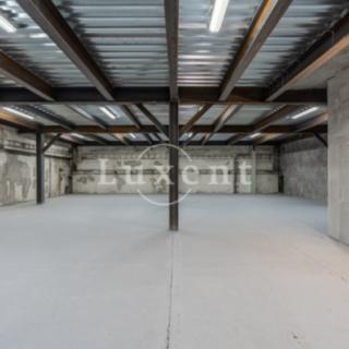 Pronájem skladu 2 202 m² Praha Vysočany, Kolbenova